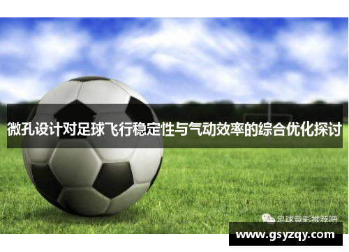微孔设计对足球飞行稳定性与气动效率的综合优化探讨